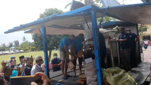 Polresta Deli Serdang memimpin Langsung pemusnaan Barbut Sejenis Sabu 2 Kg Lebih, Ganja 50 Kg dan Ekstasi 41 Butir