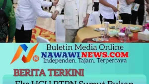 Eks HGU PTPN Sumut Bukan Lagi Milik PTPN, Masuk Tanah Negara Bebas