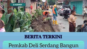 Pemkab Deli Serdang Bangun Rigid Bahu Jalan di Desa Baru Dusun III Batang Kuis, “Warga Sambut Antusias”
