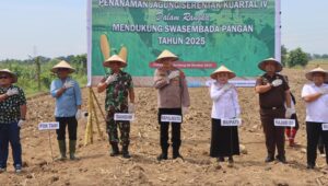 Polresta Deli Serdang gelar Kegiatan Penanaman Jagung Serentak Kuartal IV Guna Tingkatkan Swasembada Pangan
