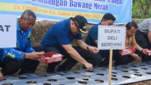 STM Hulu Diproyeksikan Sebagai Sentra Bawang Merah
