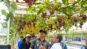 Potensial Jadi Kabupaten Terdepan, Pembangunan Tahun 2026 Dilakukan Lebih Awal