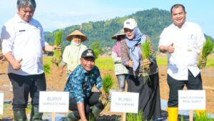 Rehabilitasi Lahan Sawah di Deli Serdang Titik Balik Ketahanan Pangan di Sumut