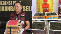Efek Jera Bagi Bandar, Ketegasan AKP M. Lumban Gaol Bersihkan Labusel dari Narkoba Diacungi Jempol