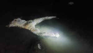 Mayat Tanpa Kepala dan Tangan Ditemukan Mengapung di Sungai Bingai Langkat