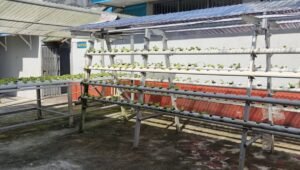 Pembinaan Berkelanjutan di Rutan Ambon: Dorong Warga Binaan Terus Berkarya