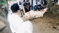 Sholat Ied Bersama Warga, Bupati Deli Serdang Tinjau Kurban Presiden dan Resmikan RPH di Tanjung Morawa