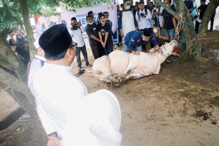 Sholat Ied Bersama Warga, Bupati Deli Serdang Tinjau Kurban Presiden dan Resmikan RPH di Tanjung Morawa