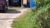 Judi Tembak Ikan di Desa Kota Pari Diduga Kebal Hukum, Warga Pertanyakan Ketegasan Aparat