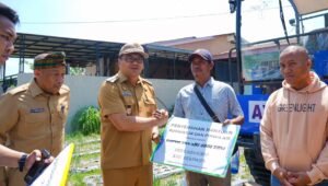Panen Bawang di Beringin, Si Pandai Siap Jamin Pasar dan Harga Petani Deli Serdang