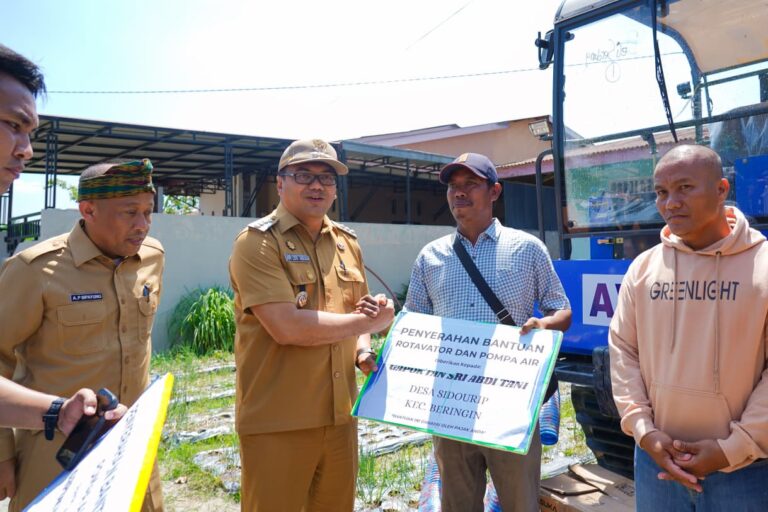 Panen Bawang di Beringin, Si Pandai Siap Jamin Pasar dan Harga Petani Deli Serdang