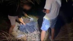 7 Kilogram Sabu Dikubur di Tanah dan Kebun Sawit, Ditresnarkoba Polda Riau Ringkus 3 Tersangka