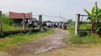 Tambak Udang di Kawasan yang Diklaim Hutan Lindung, Legalitas PT Tun Sewindu Dipertanyakan