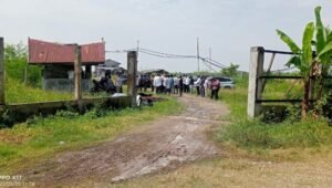 Tambak Udang di Kawasan yang Diklaim Hutan Lindung, Legalitas PT Tun Sewindu Dipertanyakan