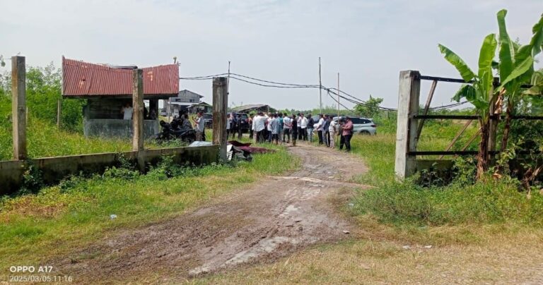 Tambak Udang di Kawasan yang Diklaim Hutan Lindung, Legalitas PT Tun Sewindu Dipertanyakan