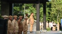 Bupati Deli Serdang Dorong Reformasi Birokrasi Berbasis Kinerja dan Kompetensi