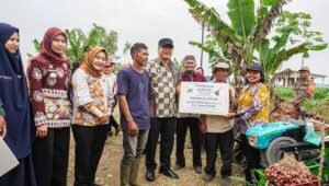 Bawang Merah Mulai Dikembangkan di Namorambe, Target 13 Ton per Hektare
