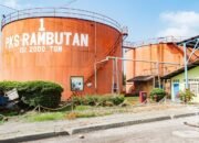 PTPN IV PalmCo Akselerasi Sertifikasi Keberlanjutan, Premium Price Tumbuh Pesat