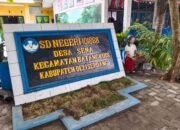 Guru SDN 101868 Desa Sena Terapkan Problem Based Learning, Dorong Siswa Lebih Aktif dan Kreatif dalam Pembelajaran IPAS