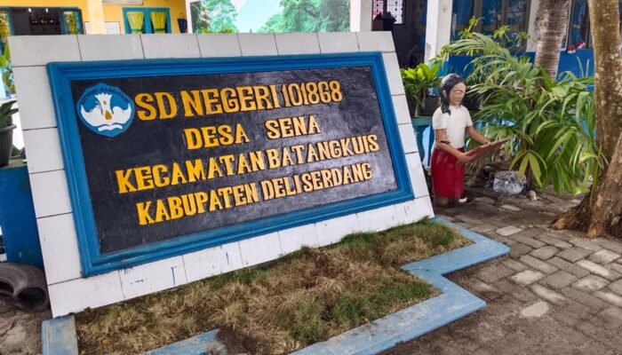 Guru SDN 101868 Desa Sena Terapkan Problem Based Learning, Dorong Siswa Lebih Aktif dan Kreatif dalam Pembelajaran IPAS